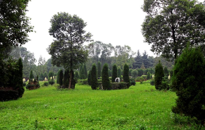 凤凰陵园草坪绿化园区实景